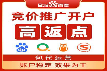 SEM服务公司助力企业流量增长案例